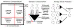 Oral Presentation by Tom MacDougall at IUPAC | CCCE2021