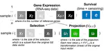 Leonard Sauve's poster accepted at RECOMB 2022