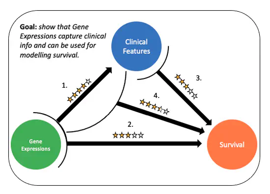 Development of Automatic Risk Evaluation Systems for Acute Myeloid Leukemia from Gene Expression Data