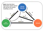 Development of Automatic Risk Evaluation Systems for Acute Myeloid Leukemia from Gene Expression Data