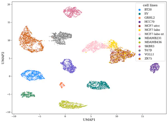 Investigate the Role of Transcriptional Regulation in Breast Cancer Heterogeneity Using Single Cell RNA Sequencing (scRNA-seq) Data