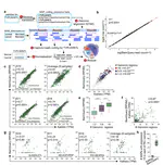 BamQuery: a proteogenomic tool to explore the immunopeptidome and prioritize actionable tumor antigens