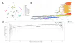 Towards Computing Attributions for Dimensionality Reduction Techniques