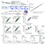 BamQuery - a proteogenomic tool to explore the immunopeptidome and prioritize actionable tumor antigens
